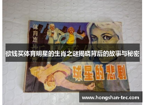 欲钱买体育明星的生肖之谜揭晓背后的故事与秘密